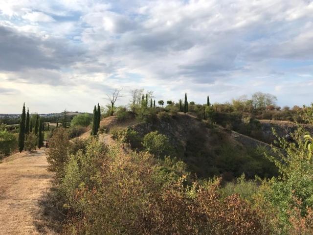 Au Coeur De La Toscane Angevine Chaudefonds-sur-Layon Ngoại thất bức ảnh